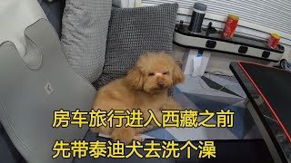 房车旅行进入西藏之前，带泰迪犬去洗个澡，流浪狗变成了高富帅！【大毛房车游记】