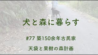 【古民家リノベ】#77 築150余年古民家 天袋と果樹の森計画