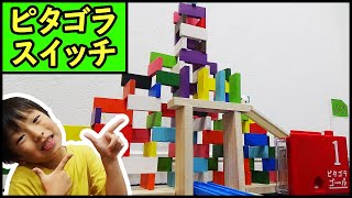 立体ドミノでピタゴラ装置を作ったよ！