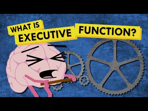 Does executive functioning improve with age?