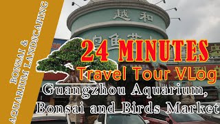 :Bonsai \u0026 Aquarium Landscape: 24 Minutes Travel Tour China Guangzhou Aquarium Market