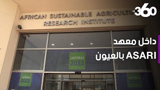 المعهد الإفريقي للأبحاث الزراعية التابع لجامعة محمد السادس.. مشروع علمي ضخم بجهة العيون