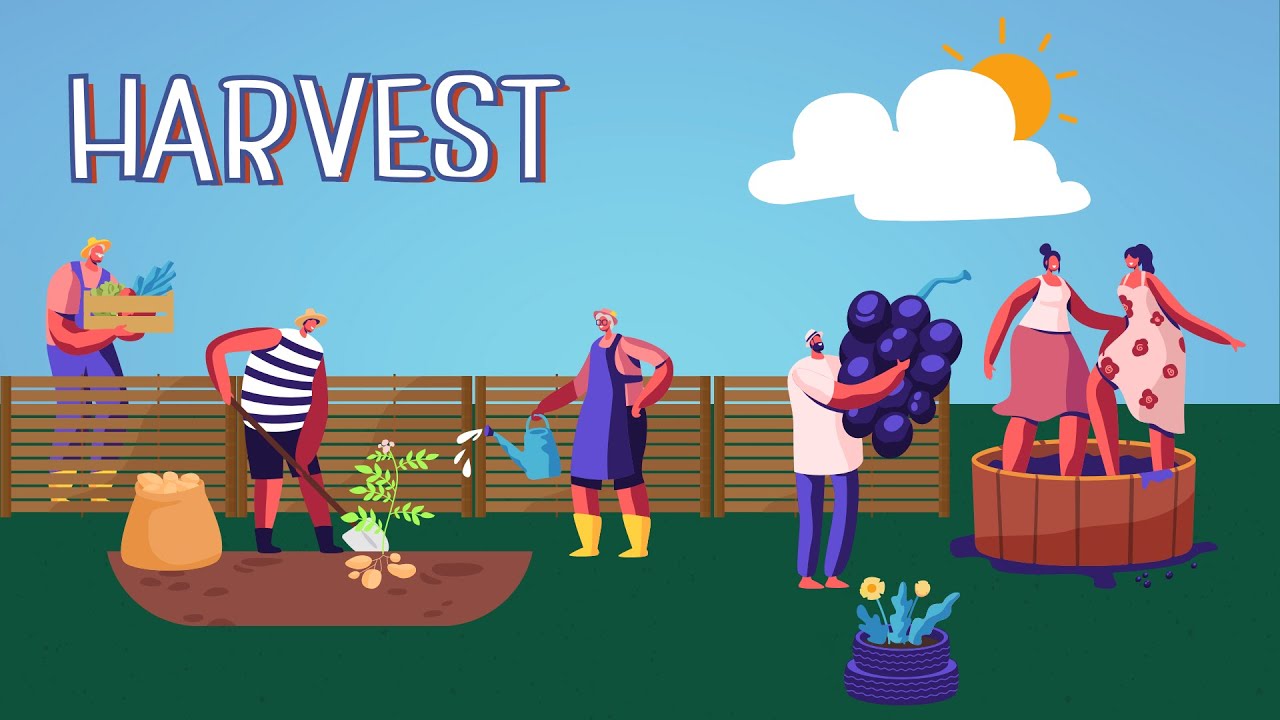 Harvest Part 4 Youtube