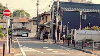 2016 Summer in Tokyo – Residential Neighbourhood「2016年夏の東京」