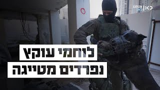 לוחמי עוקץ נפרדים מהכלב טייגה