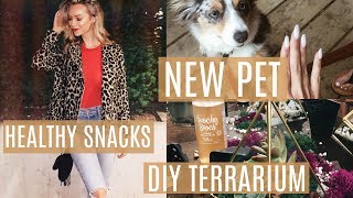 Healthy Snack Recipes + Adopting A Cat! | MEL WEEKLY #26