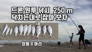 원투낚시 끝판왕 ! 드론 낚시 ! 원투 250 m !! 2 시간에 11 마리 !!