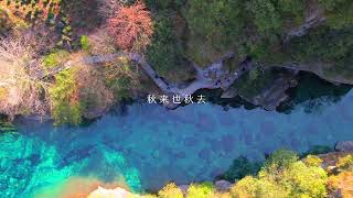 转眼夏天成了故事，秋天成了风景。#牯牛降的秋天 #山野自然