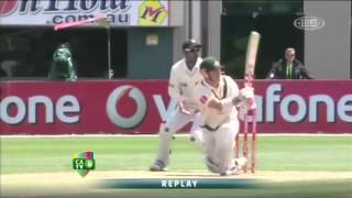 Switch hitting with David Warner