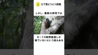 【動物雑学】ナマケモノの睡眠時間は○○時間。　#shorts #動物 #雑学 #動物雑学 #豆知識