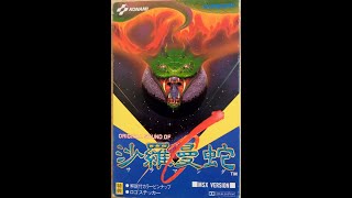 DTM打込み 沙羅曼蛇(MSX版) / OPERATION SEEDLEEK(オープニングデモ)