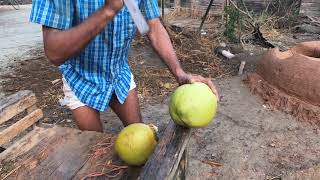 দেখুন মাএ ৫৫ সেকেন্ডে কিভাবে ছেলেটা গাছে উঠে ডাব পেড়ে আনল।না দেখলে মিস করবেন।