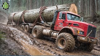 Dangerous Idiots Truck \u0026 Heavy Equipment Fails Compilation | Extreme Truck Idiots at Work #74