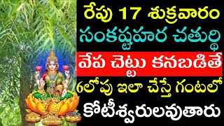 రేపు 17 శుక్రవారం సంకష్టల చతుర్థి వేపచెట్టు కనబడితే 6లోపు ఇలా చేస్తే గంటలో కోటీశ్వరులవుతారు