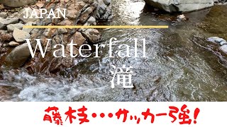 【キャンピングトレーラー侵入禁止！宇嶺の滝】知る人ぞ知る藤枝の山肌から流れる滝が存在する。キャンイングトレーラーでは侵入できず、切り離して宇嶺の滝に侵入。緑奥深い先に流れる秘滝hobby720UKFE