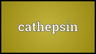 Cathepsin Meaning