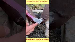 EELHOE GAM KIMPALAN PELBAGAI GUNA