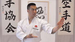 LET'S LEARN KARATE with Ryan Hayashi #1 - Beginners Training At Home
