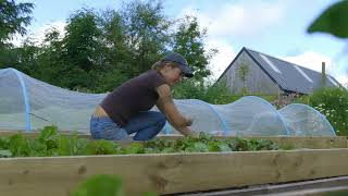 🔴 Gardeners' World 2023 | 🍀This Impressive Kitchen Garden Grows 80  of Their Vegetables Using No