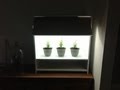 DIY indoor grow box for $30 part 1 of 2