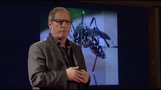 How to fight Zika and other neglected diseases | Dennis Liotta | TEDxPlaceDesNations
