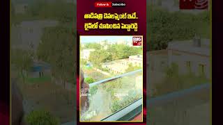 Kethireddy Pedda Reddy | Tadipatri |తాడిపత్రి డెవలప్మెంట్ ఇదే..లైవ్‌లో చూపించిన పెద్దారెడ్డి |BIG TV