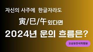 寅/巳/午가  사주에 한글자라도 있는 사람들 2024년은? 오상유진석명리학강의