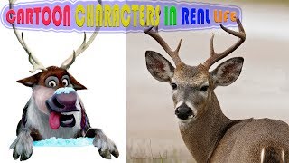 Fawn Deer Cartoon characters in real life It is not possible not to laugh Funny Cute Compilation