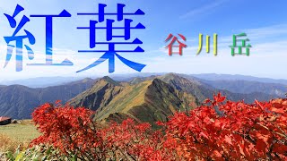 紅葉の谷川岳  山岳写真撮影登山