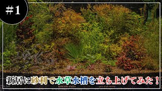 【砂利で水草水槽】新居に水槽部屋を立ち上げてみた【アクアリウム】