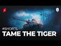 #Shorts - Tame the Tiger