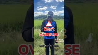 4Tree Caution - +2348163046851