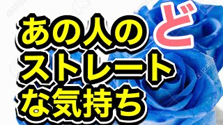 あの人のどストレートな気持ち🌹タロット占い🔮