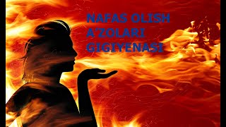 NAFAS OLISH A'ZOLARI GIGIYENASI | НАФАС ОЛИШ АЪЗОЛАРИ ГИГИЕНАСИ