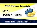 2019 Python Programming Tutorial 10   Tuples