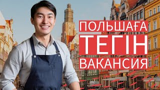 Польшаға тегін вакансия қалай табамыз?