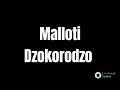 Malloti - Dzokorodzo (MalloNgende Ep)