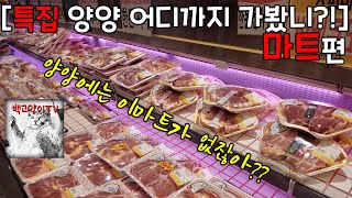 [특집 양양 어디까지 가봤니?!] 마트편