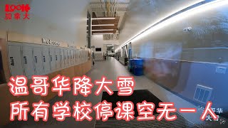 【斌主播户外】温哥华今日大雪，所有学校停课空无一人，20CM厚走路都费劲（欢迎订阅斌主播）