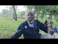 Chief Mutasa - Mupositori wekwaMarange Oudza N'anga Kuti Unonyepa. Mukadzi Wangu Ndiye Arikudya Vana