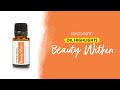 Best Essential Oils for Skin: Beauty Within Blend