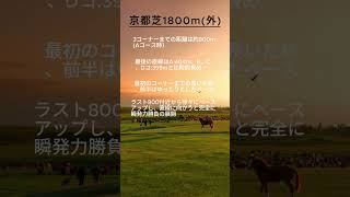 【競馬豆知識】京都競馬場芝1800mコースの特徴を解説！ #競馬 #京都競馬場 #競馬予想 #血統 #傾向 #血統予想 #傾向 #馬場傾向