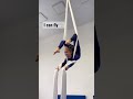 i can fly 🕊️ shorts aerialsilks flexibility aerialartist