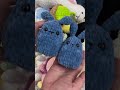 september crochet shorts like yarn crochet amigurumi explore haul cute love handmade toys