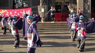 ファイナルよさこい2011 上總組 ステージ会場