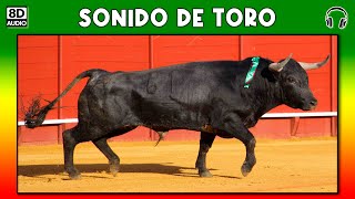 SONIDO DE TORO 🐂