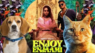 Enjoy Enjaami - Cat and Dog Sing | Alu A'kay
