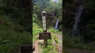 春日山遊歩道へ初めてのハイキング