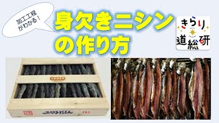 【加工工程がわかる】身欠きニシン の作り方