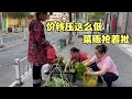 天没亮娜姐和妈妈打电筒摘菜去卖，被菜贩子把价钱压得很低，娜姐懵逼了